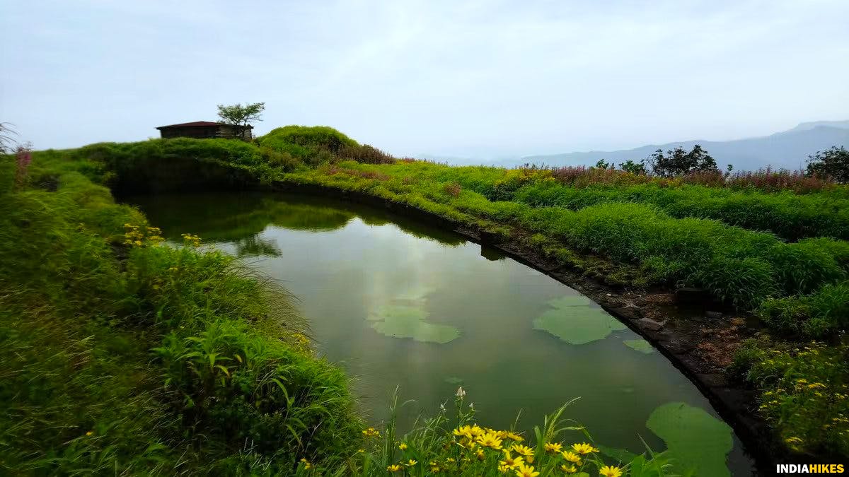 Chandrakor Pond, half moon shaped lake, Rajgad Fort, Treks near Pune, Sahyadri treks, Trekking in Maharashtra, Indiahikes