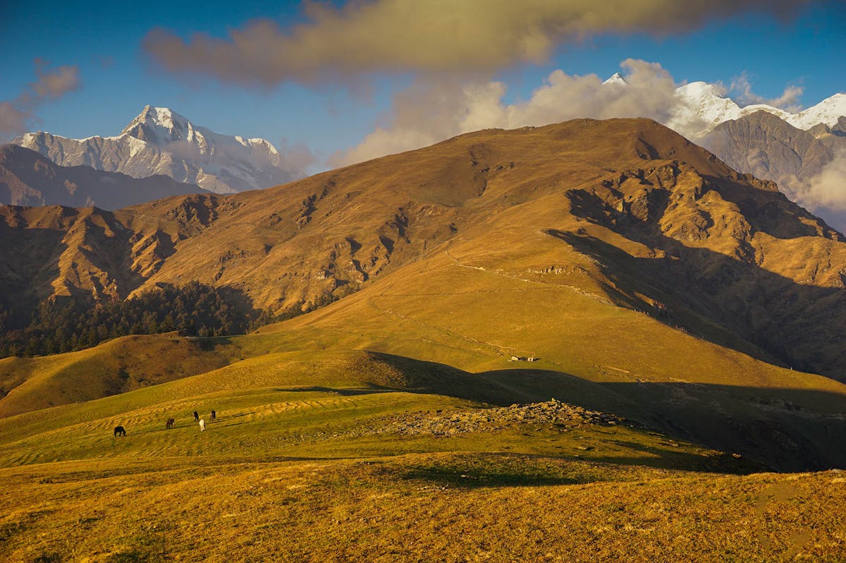 Ali Bedni Bugyal, Himalayan treks, Moderate treks, Indiahikes