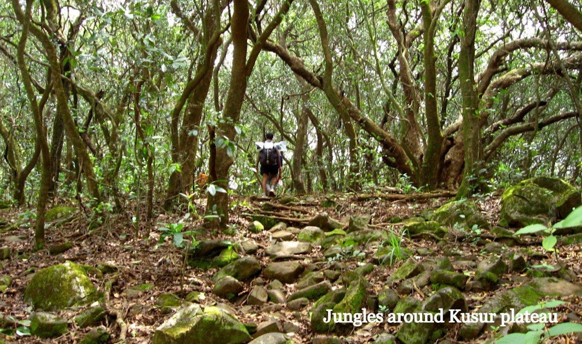 Lonavala Bhimashankar Trek