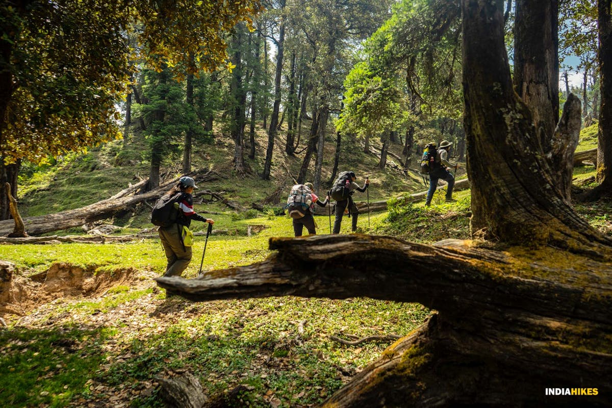 Kedarkantha Indiahikes Uttarakhand
kedarkantha trek price
kedarkantha trek best time
kedarkantha trek distance
kedarkantha trek package
kedarkantha trek route
kedarkantha trek height
kedarkantha trek from mumbai
kedarkantha trek best time
kedarkantha trek route
kedarkantha trek height
kedarkantha trek indiahikes
kedarkantha trek from delhi
kedarkantha trek from mumbai
kedarkantha trek route map
kedarkantha trek from pune
kedarkantha trek package from delhi
things to carry for kedarkantha trek
thrillophilia kedarkantha trek
yhai kedarkantha trek 2021
sankri to kedarkantha trek distance
yhai kedarkantha trek 2022
kedarkantha trek distance
kedarkantha trekking from ahmedabad
kedarkantha trek best time
kedarkantha trek route
kedarkantha trek price
kedarkantha trek distance
kedarkantha trek package
kedarkantha trek height
