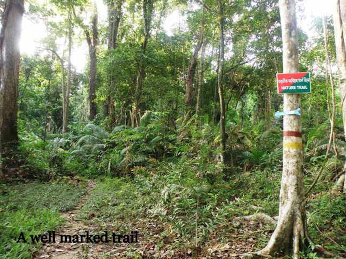 Saddle Peak Trek