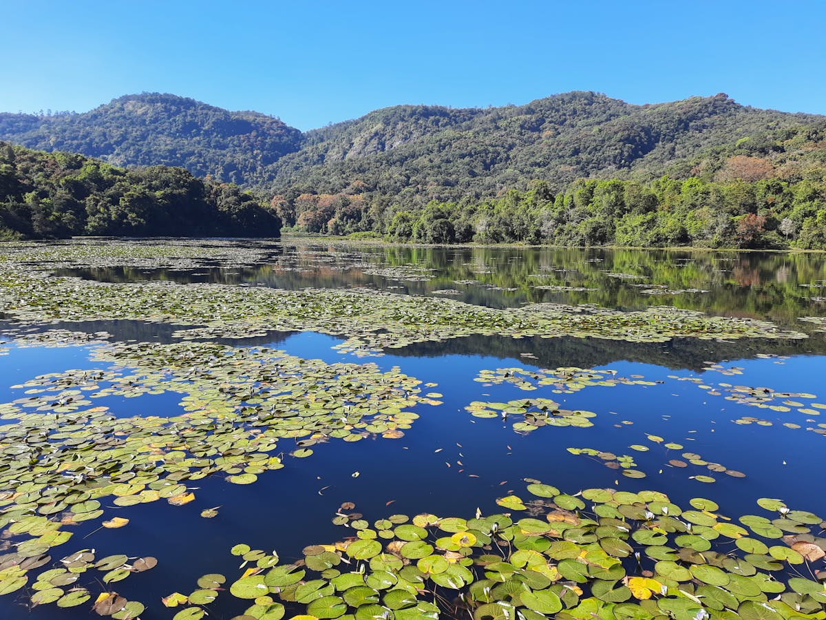 Kookal Lake-Kookal Falls Trek-Indiahikes-Madhuri Ruperee