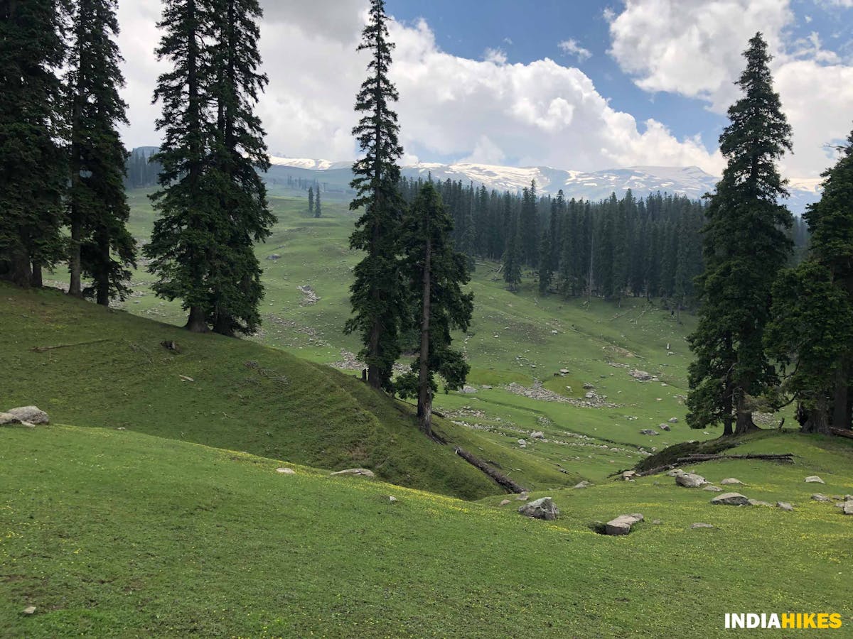 View from Dragdolan - Danizab Trek - Indiahikes - SaliyahAhmad