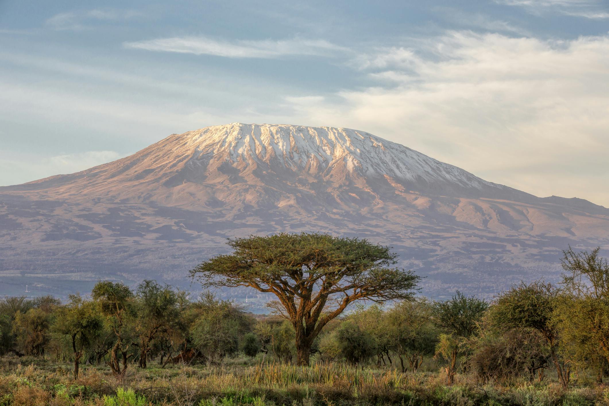 kilimanjaro trek solo