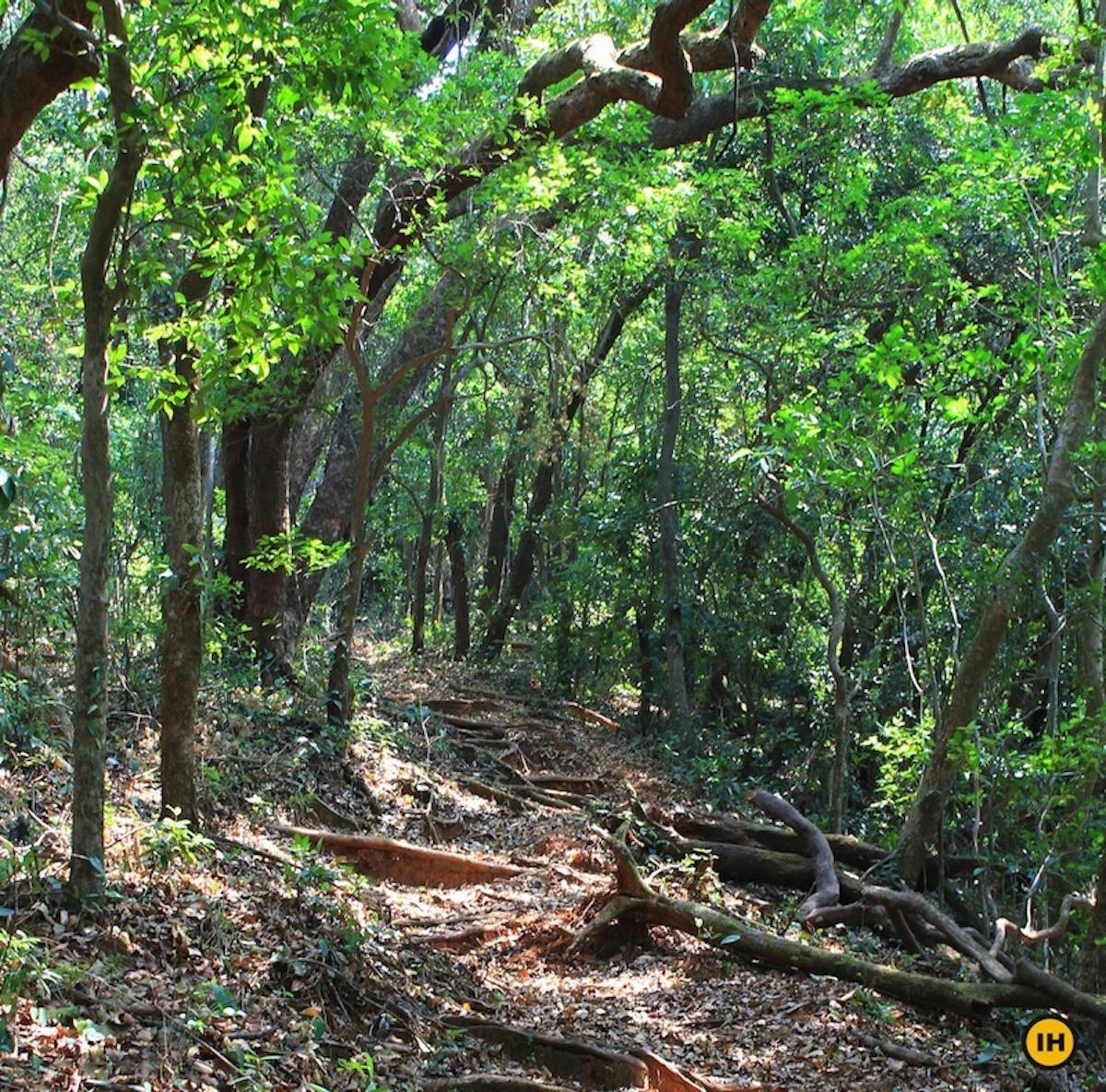 Madhu Makrandgad Trek