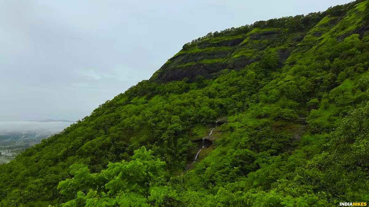 Waterfalls, Kalavantin durg, Western ghats treks, Treks near Mumbai, Sahyadri treks, Indiahikes
