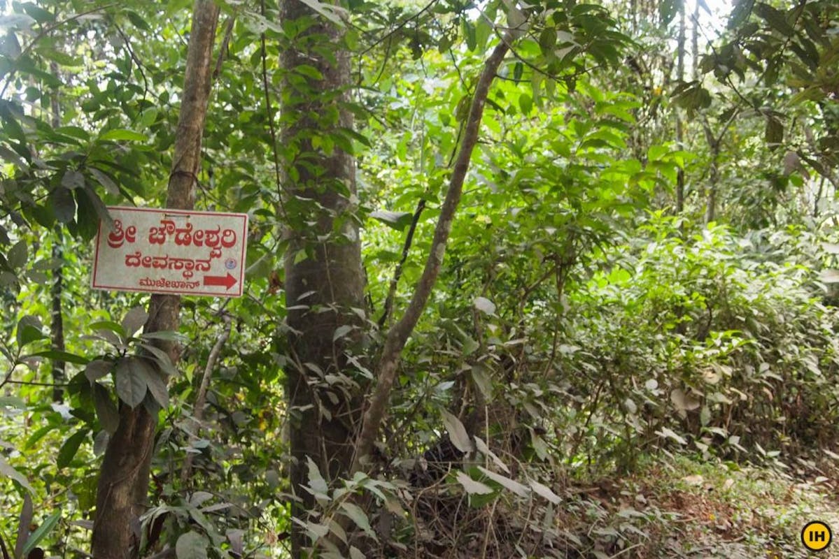 Aane Gudda trek - Board towards the starting point of the trek - Indiahikes - Suhas Saya