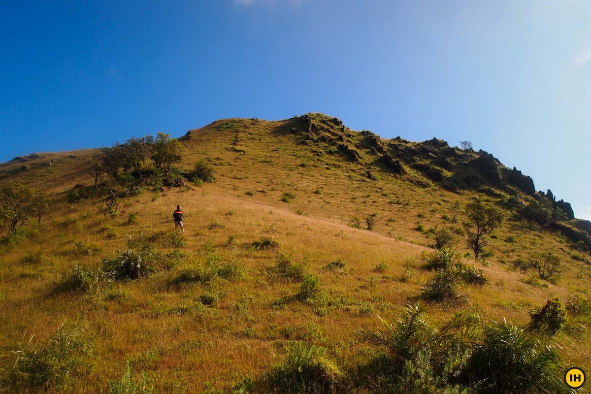 Aane Gudda Trek - Trek through coffee plantatoin - Indiahikes - Suhas Saya