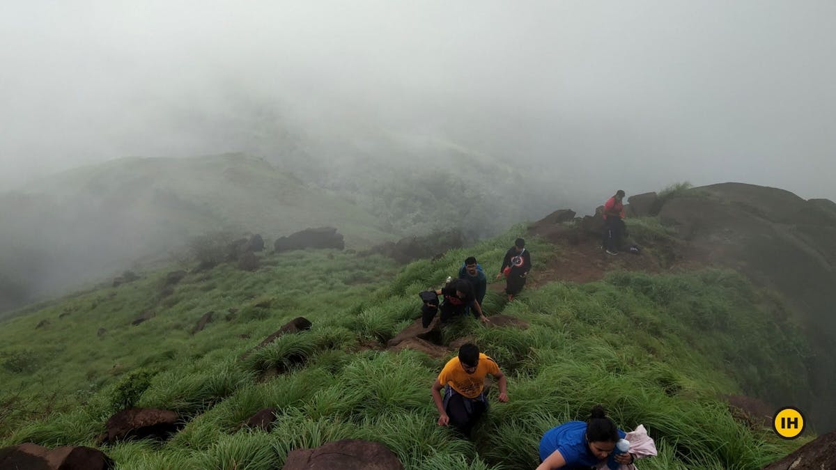 Kurinjal-Peak-Trek-Steep-section-Indiahikes-Kudremukh