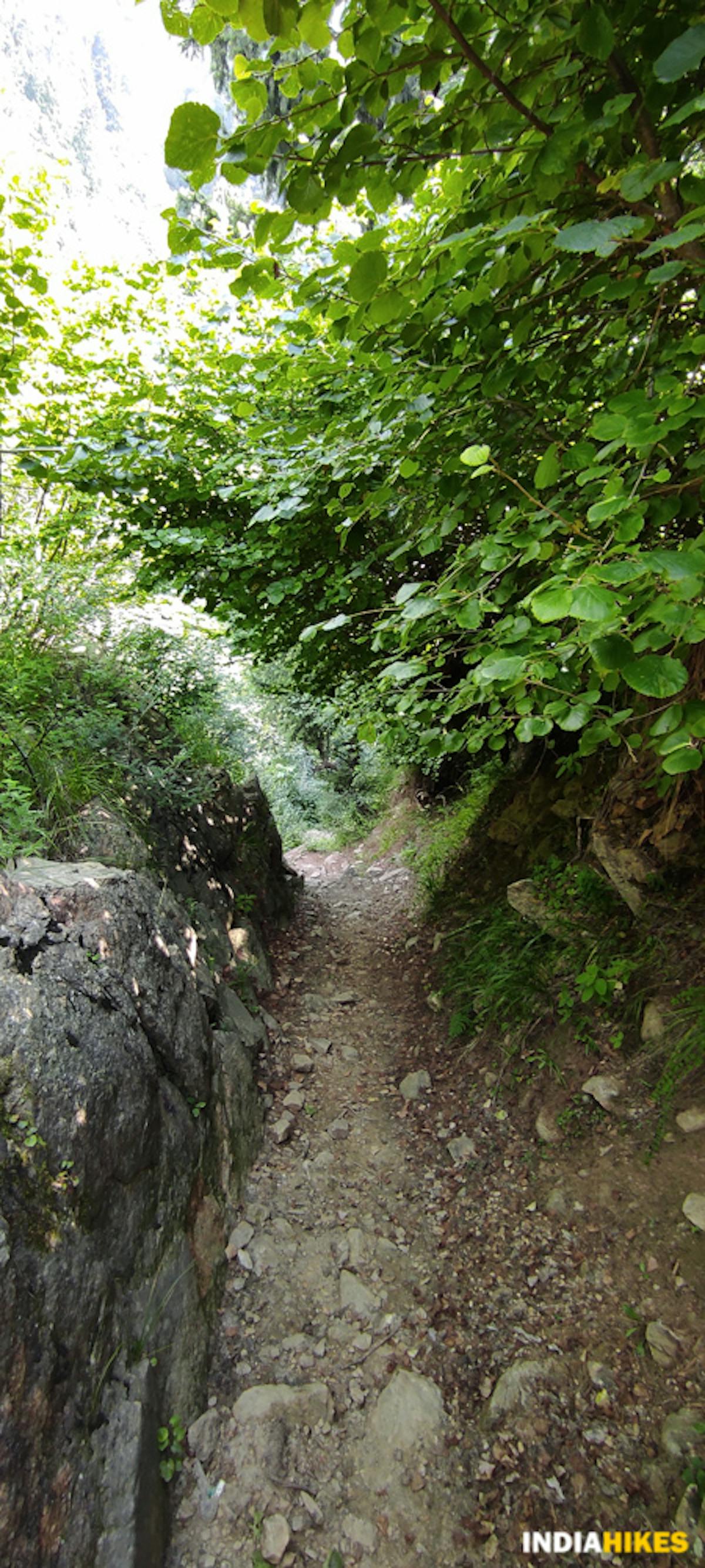 Green gully - Mamneth Top Trek - Indiahikes - Saliyah Ahmad