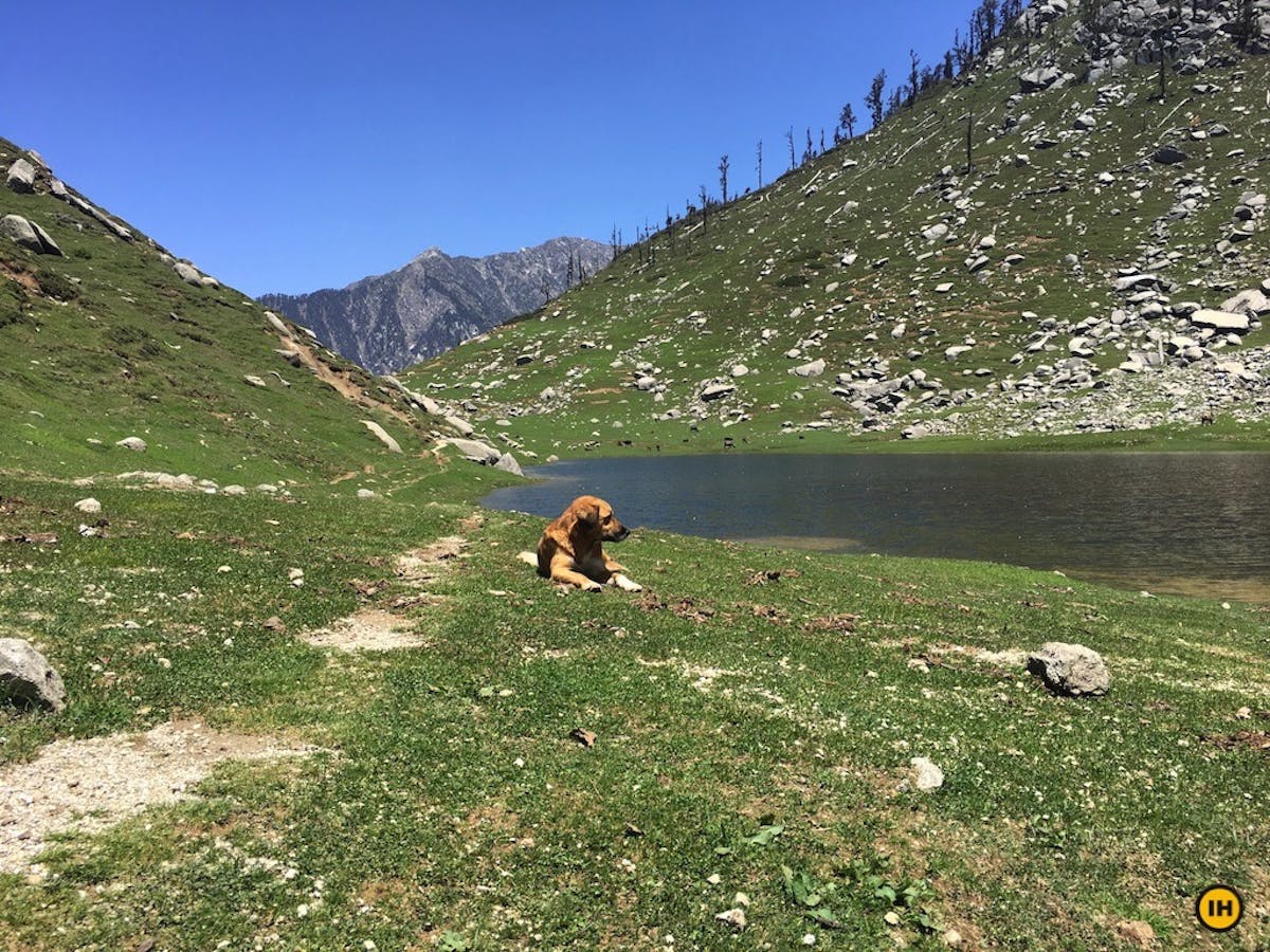 Kareri Lake, treks near Delhi, Indiahikes, treks in Himachal Pradesh