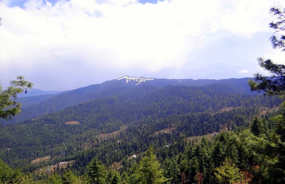 Kuppar Bugyal, treks near Delhi, Indiahikes, treks in Himachal Pradesh