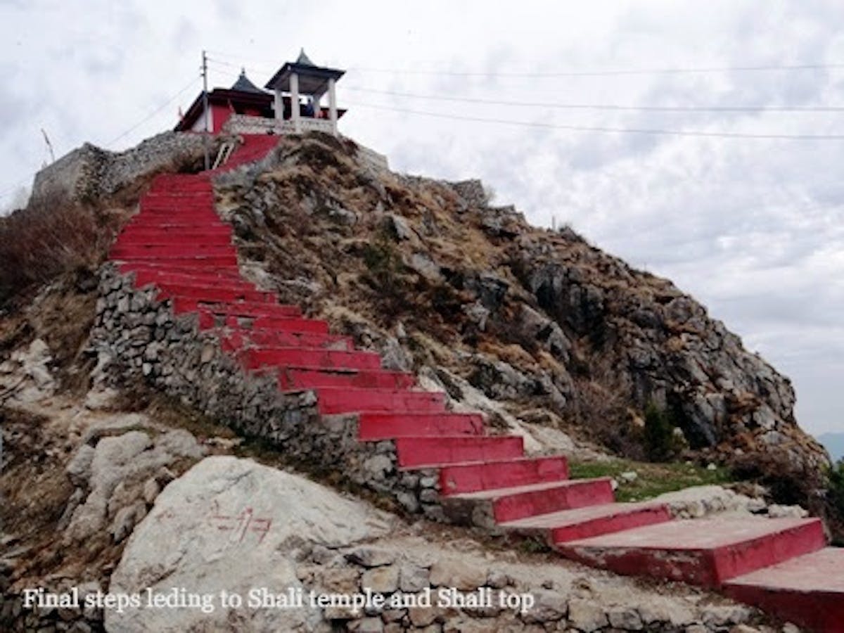 Shali Tibba, treks near Delhi, Indiahikes, treks in Himachal Pradesh