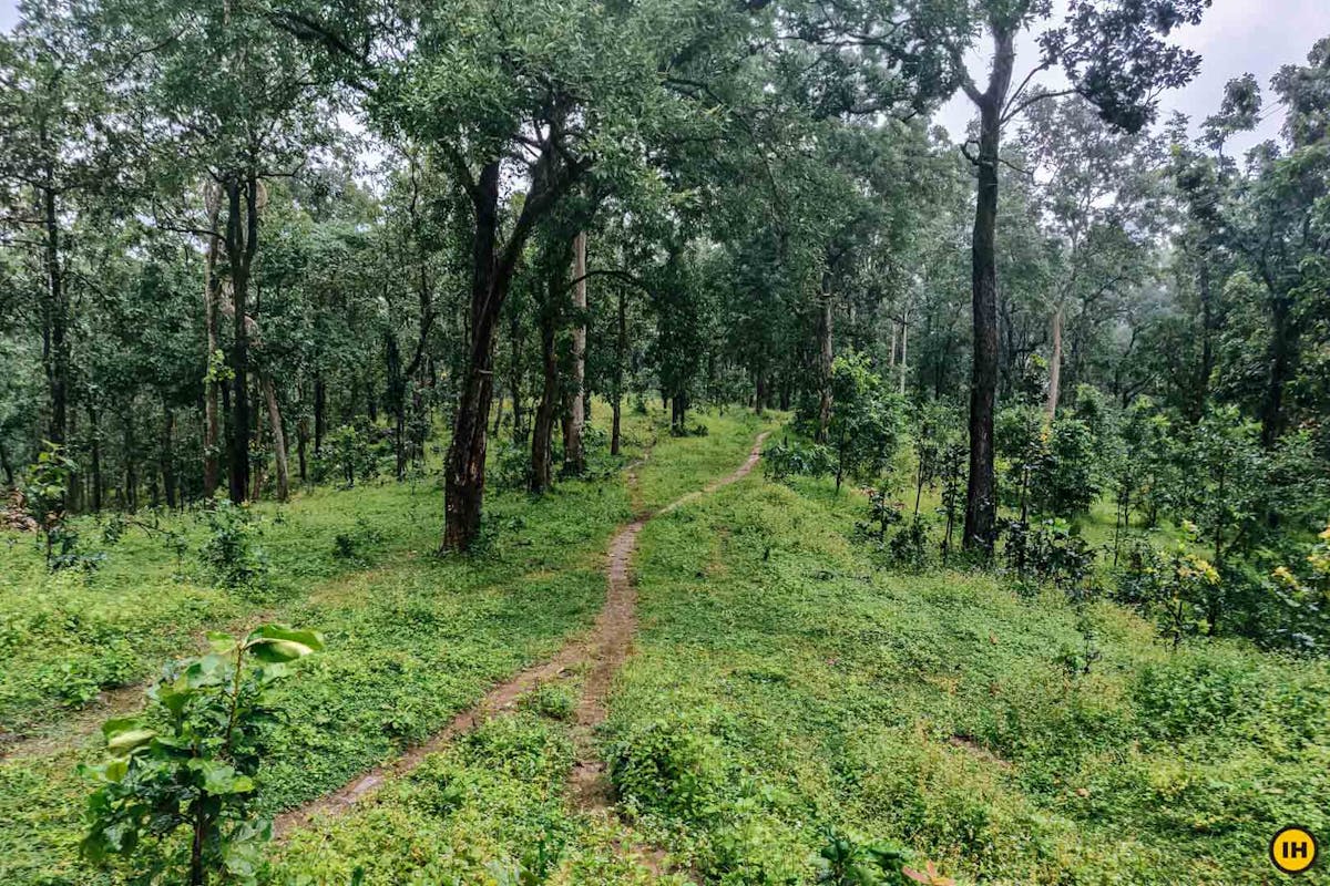 Rajmergarh Chhattisgarh Jungle Trek