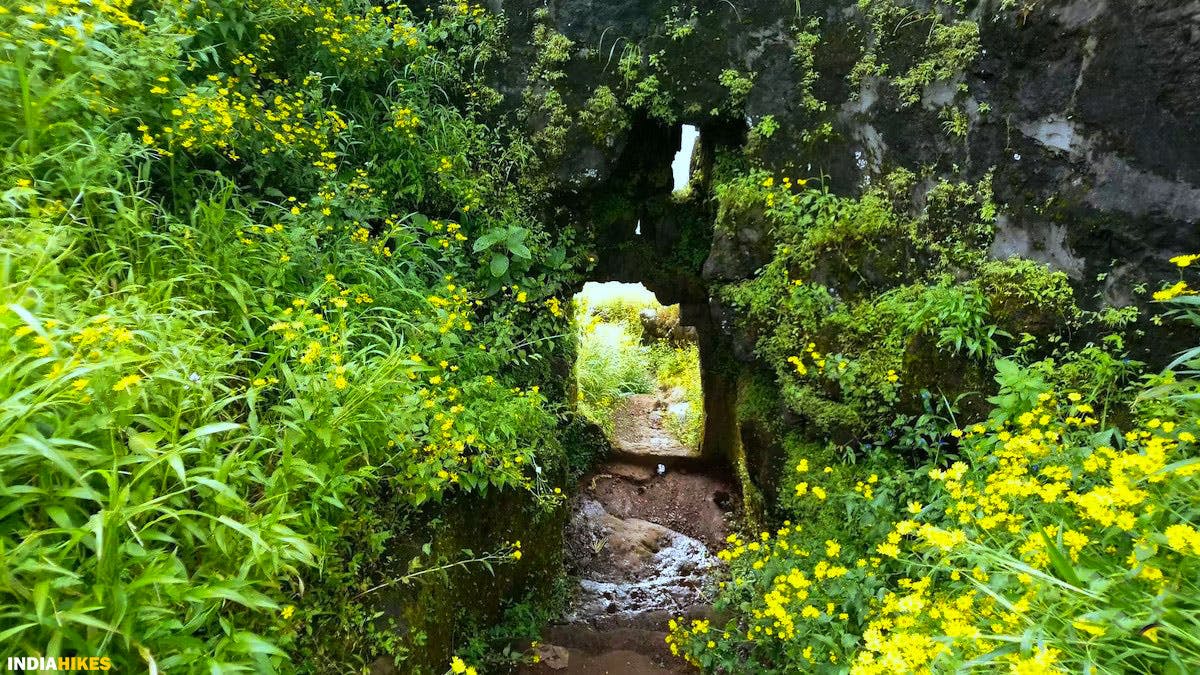 Underground passage entrance, Rajgad Fort, Treks near Pune, Sahyadri treks, Trekking in Maharashtra, Indiahikes