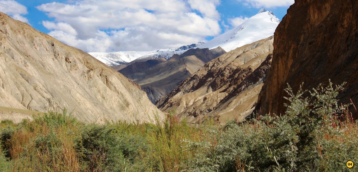 Markha valley trek. View of Kang Yatse. Indiahikes . treks in ladakh