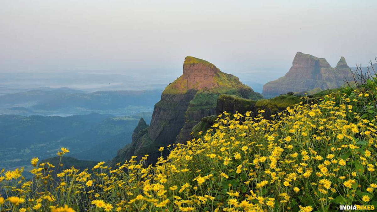 Taramati peak, Harishchandragad, Sahyadri treks, Treks in Maharashtra, Western ghats treks, Treks near Mumbai, Treks near Pune