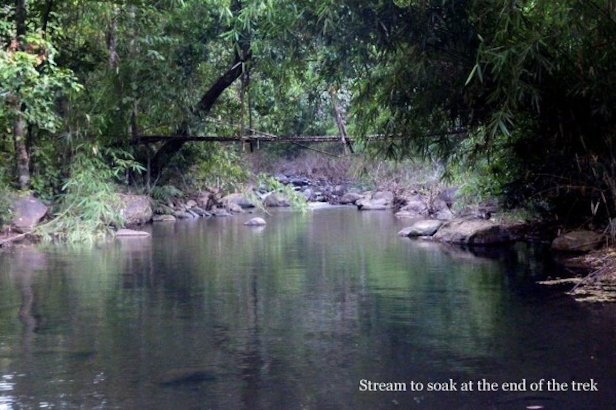 kopatty-coorg-trek