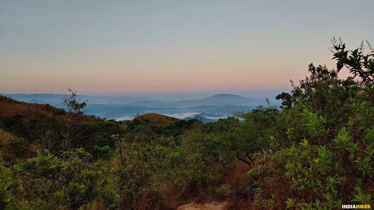 View at the end of the forest section, Kumara Parvatha, Indiahikes, Western Ghats treks, Karnataka treks, treks in Karnataka, most difficult trek in the western ghats of Karnataka