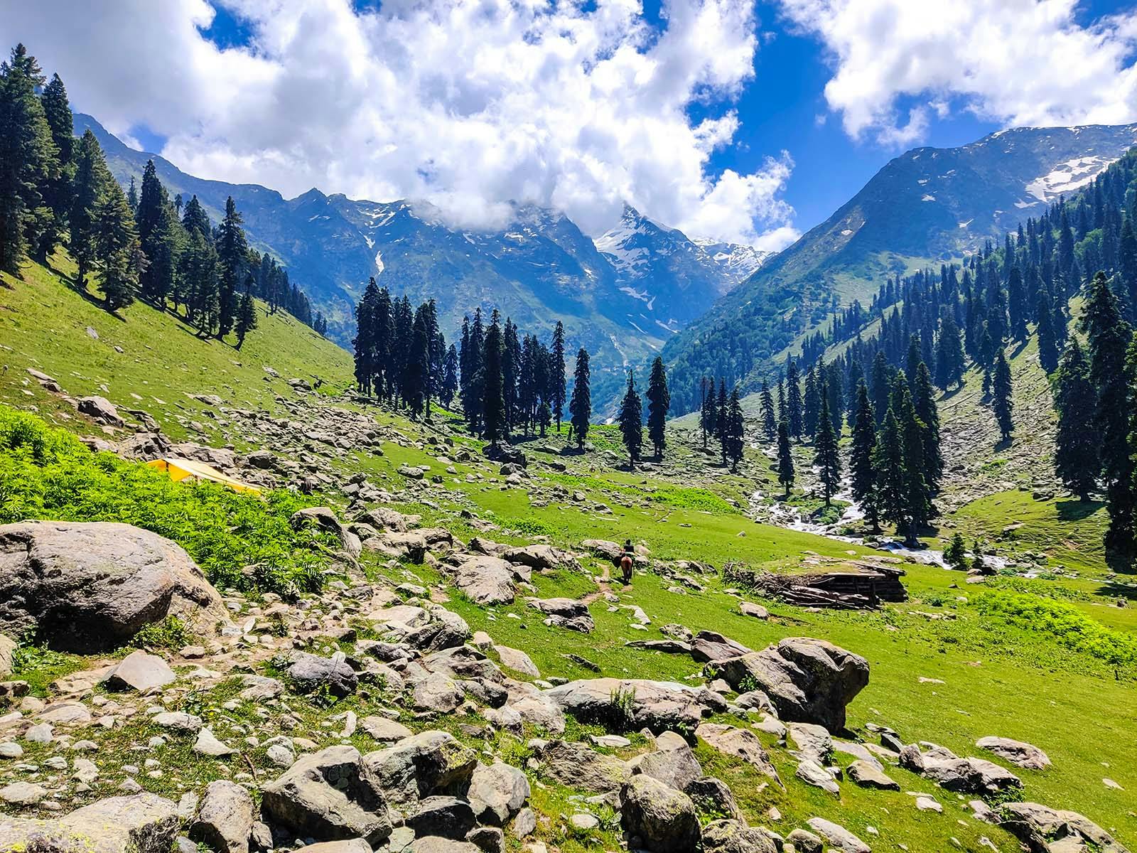 Tulian Lake Trek 2023 - Treks In Jammu and Kashmir - Indiahikes