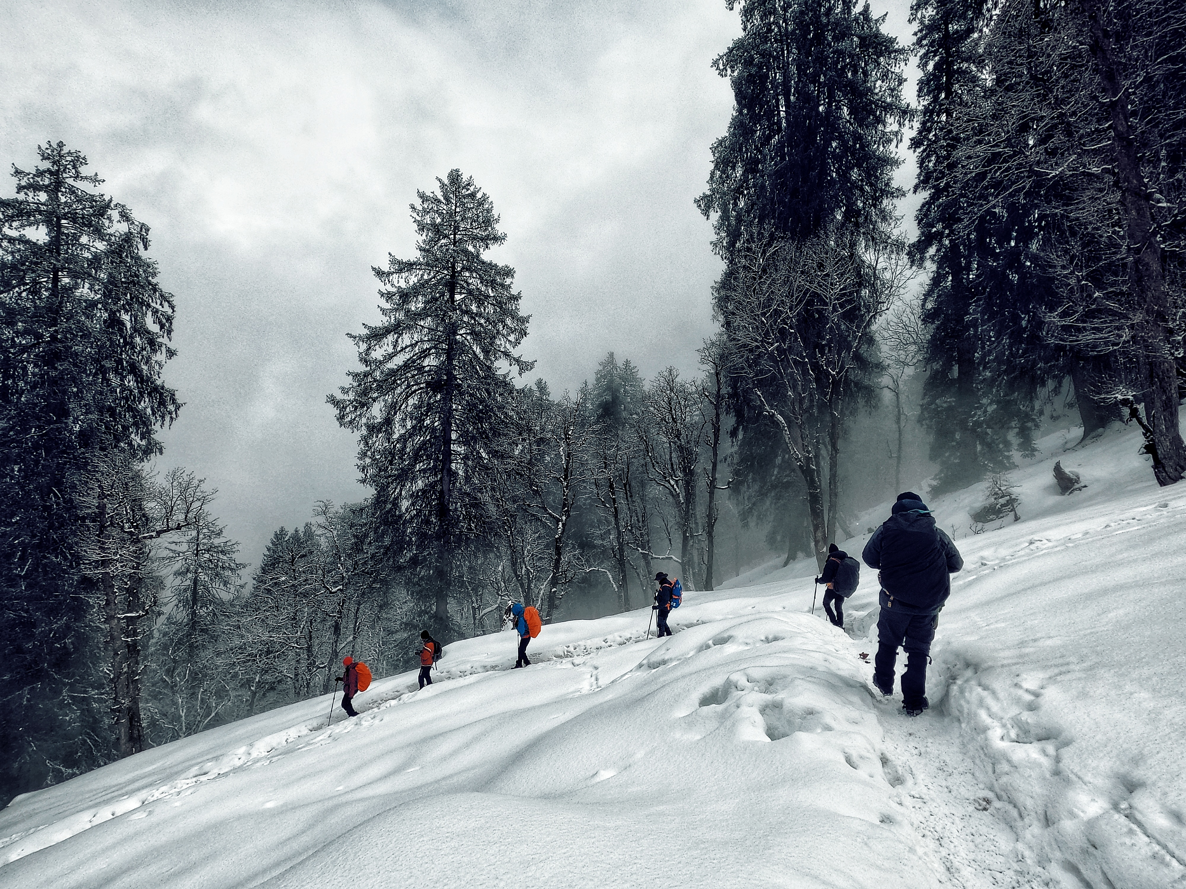 Trek to Kuari Pass 2025 Safe Sustainable Treks Indiahikes