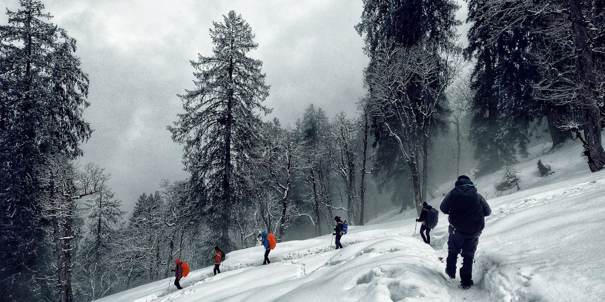 Trek to Kuari Pass 2025 Safe Sustainable Treks Indiahikes