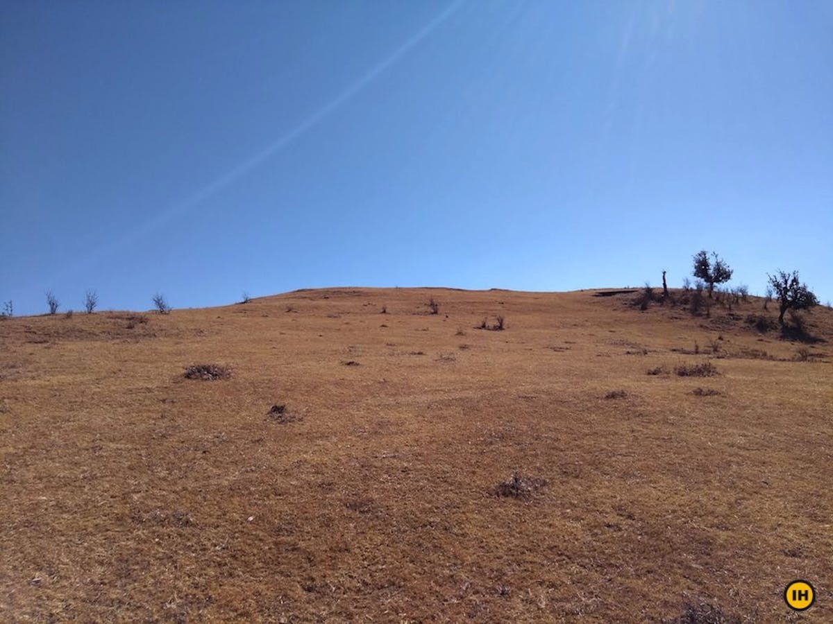 Ajan-top-meadow-on-top-Indiahikes-Samkit-Jain
