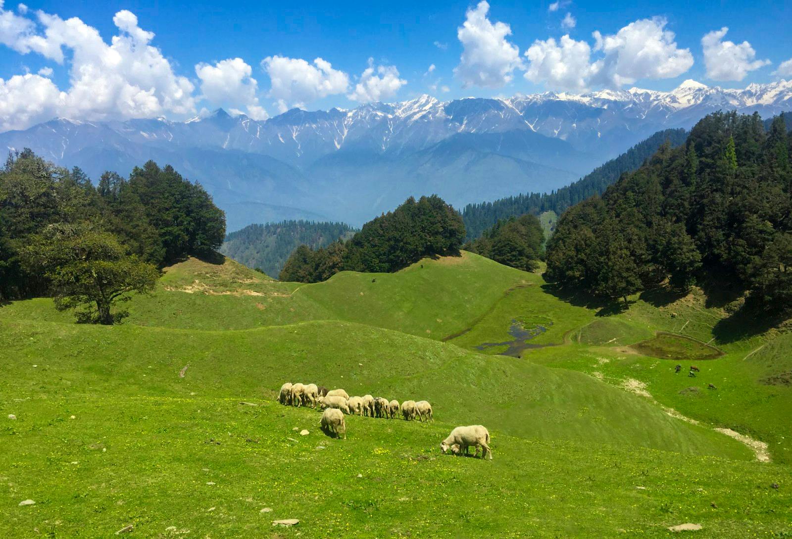 trek to himachal