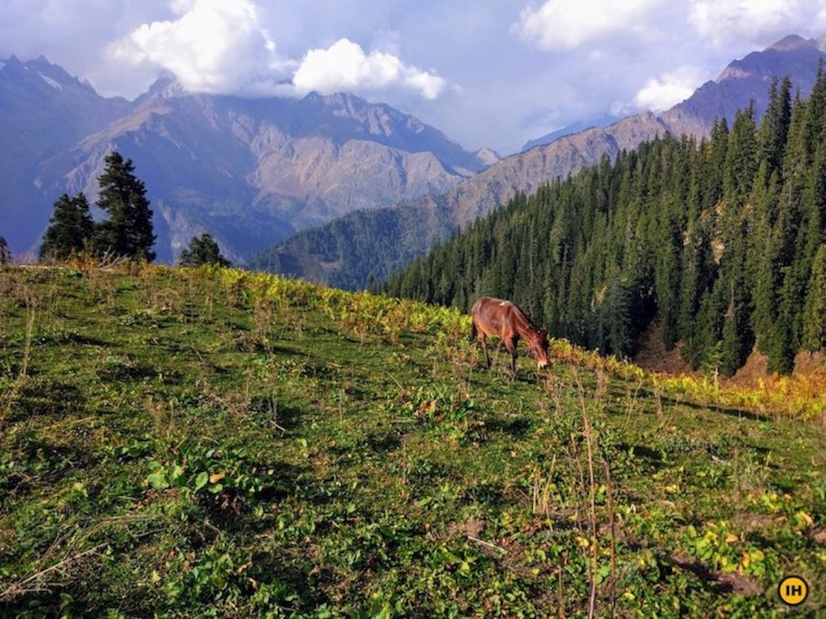 Kheerganga Buni Buni Pass-Treks in Himachal-Indiahikes