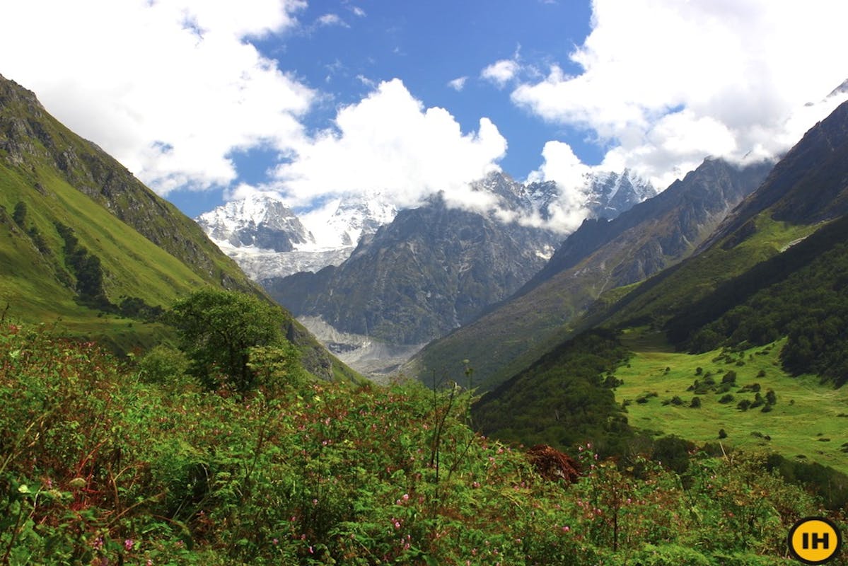 Valley of flowers, Indiahikes, Uttarakhand, Himalayan treks, Hemkund Sahib