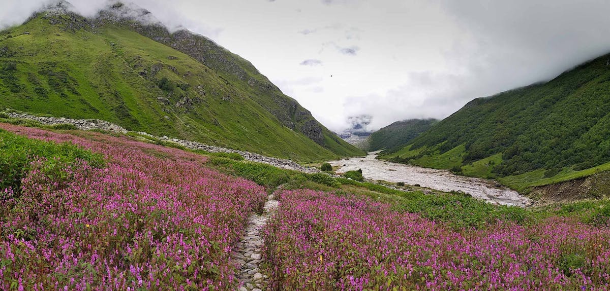 Valley of flowers, Indiahikes, Uttarakhand, Himalayan treks, Hemkund Sahib