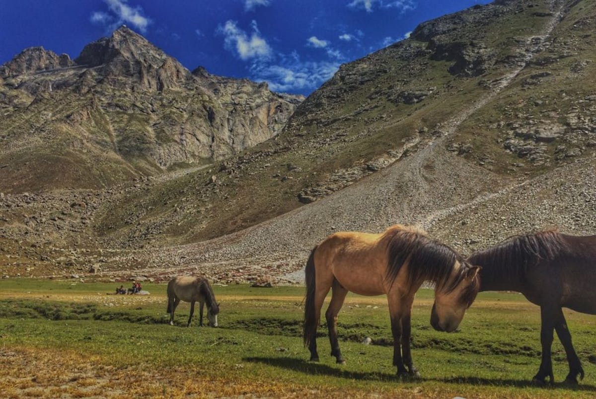 Miyar Valley Trek