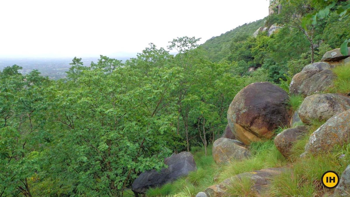 Halu-Chilume-Trek-View-From-view point-Indiahikes-Suhas Saya