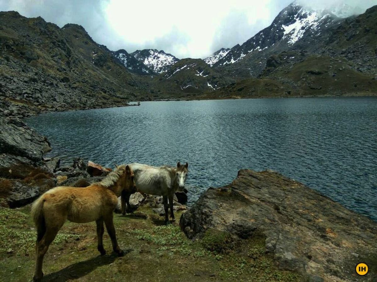 Gosaikunda-Indiahikes-Meghana-Vasisht-Gosaikunda-2-1.jpg