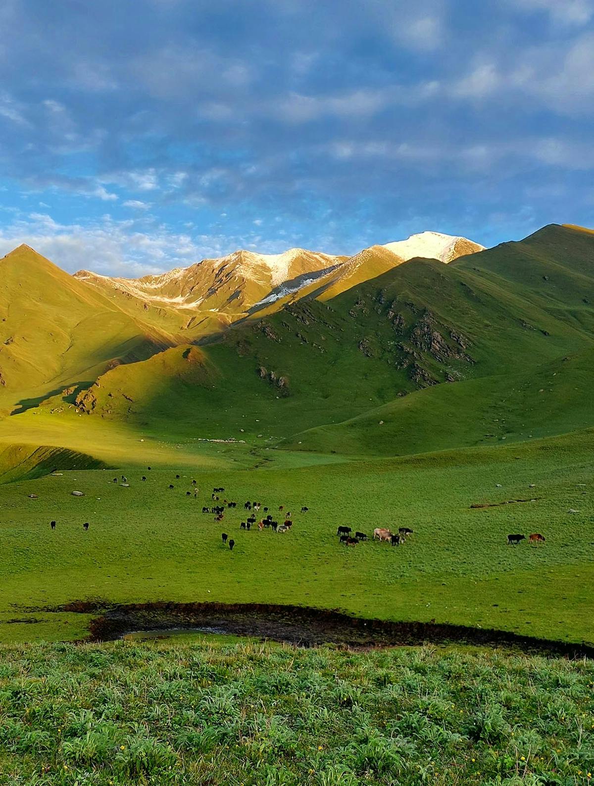 World Photography Day 2022