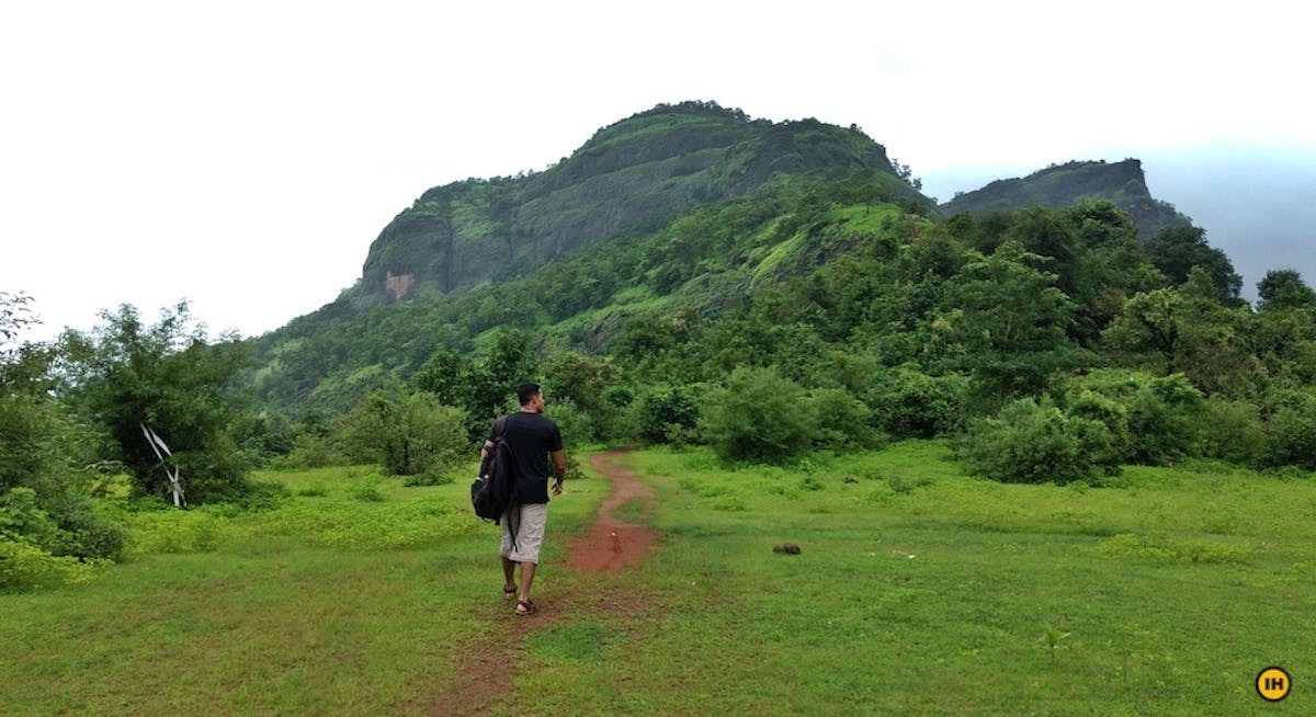 Open meadows on the initial part of the trail. The first ladder is visible in the distance PC: Apoorva Karlekar