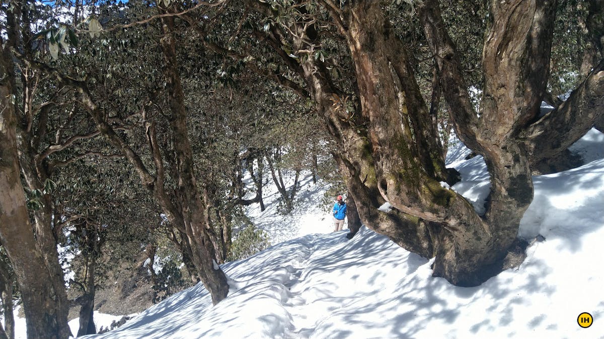 Kugina Pass Trek