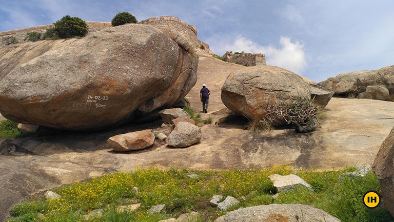Wildflowers, Madhugiri trek, day hikes near Bangalore, treks around Bangalore, Indiahikes