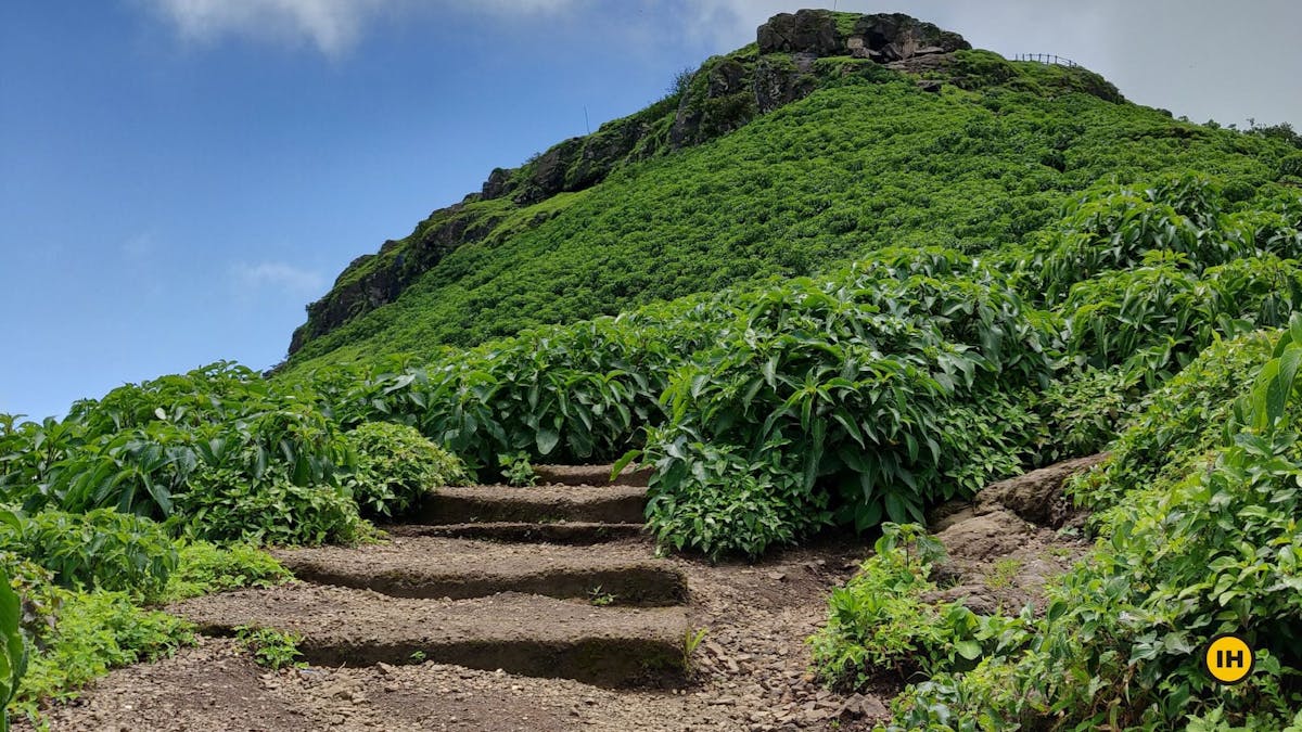 Anjaneri fort trek-stairs to final climb-Indiahikes-Yugant Gurav