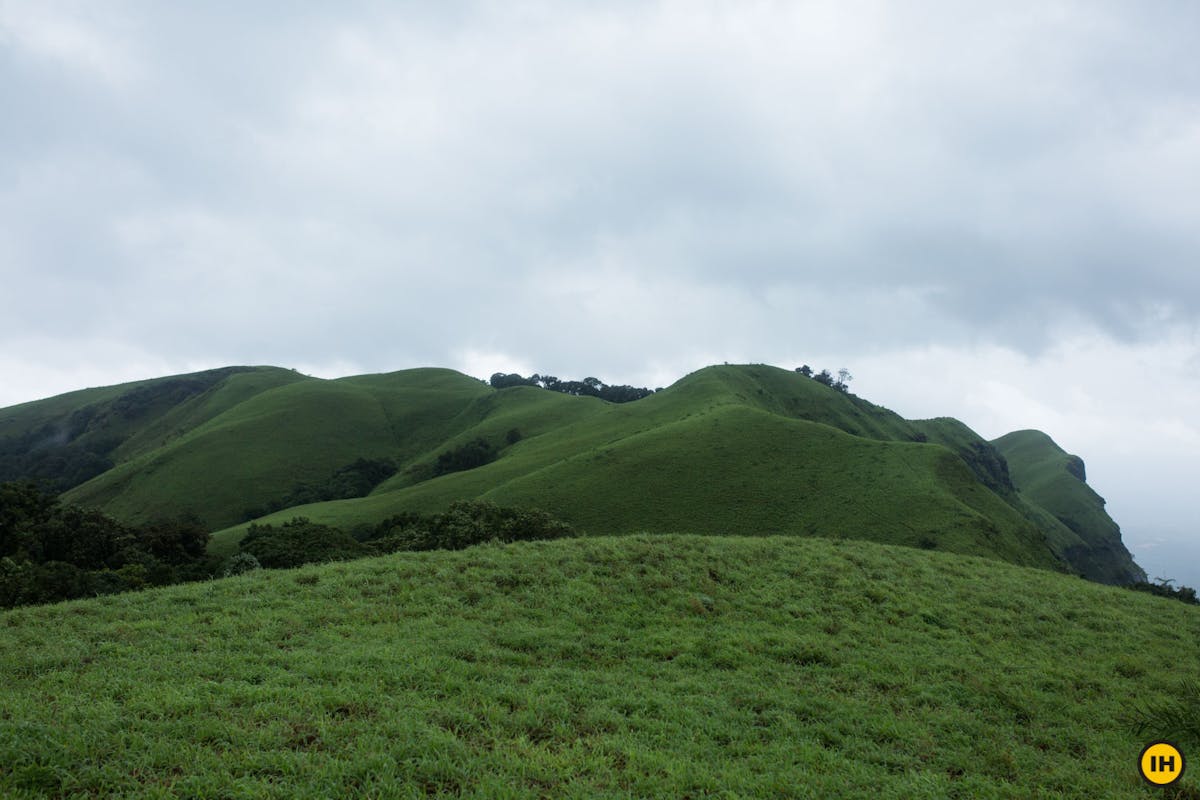 Shola grasslands, Ballalarayana Durga - Bandaje Arbi trek, western ghats trek, treks in Karnataka, Indiahikes