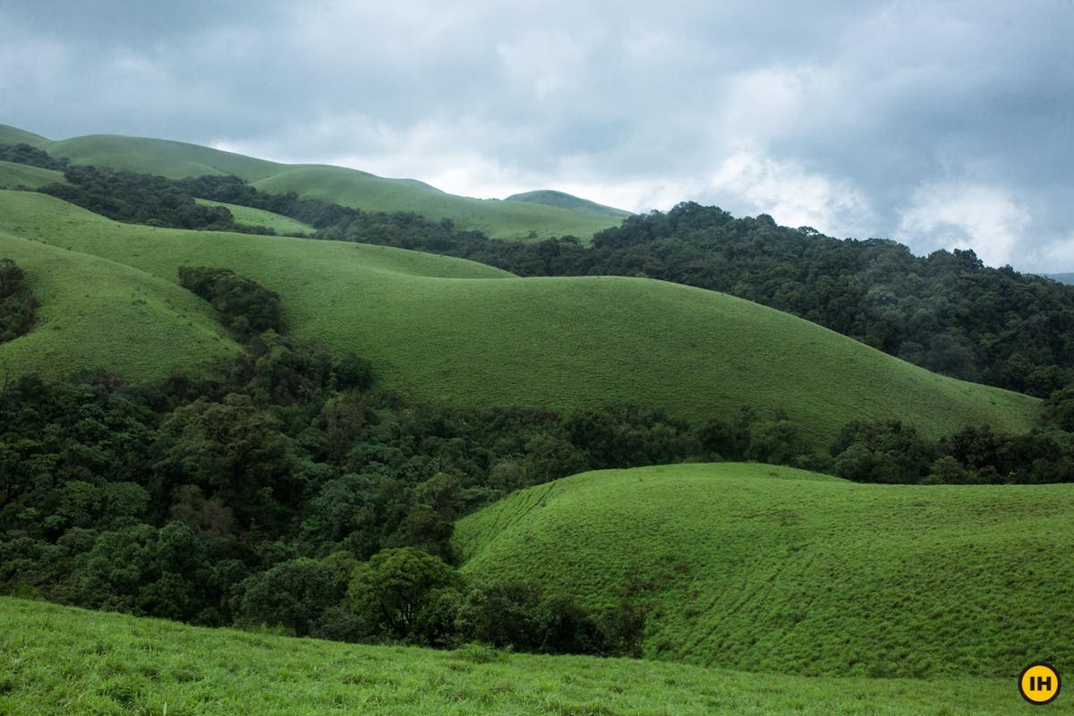 Meadows, Ballalarayana Durga - Bandaje Arbi trek, western ghats trek, treks in Karnataka, Indiahikes