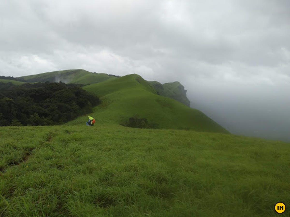 Windy trail, Ballalarayana Durga - Bandaje Arbi trek, western ghats trek, treks in Karnataka, Indiahikes