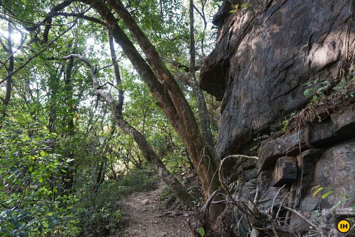 Trail, Ballalarayana Durga - Bandaje Arbi trek, western ghats trek, treks in Karnataka, Indiahikes