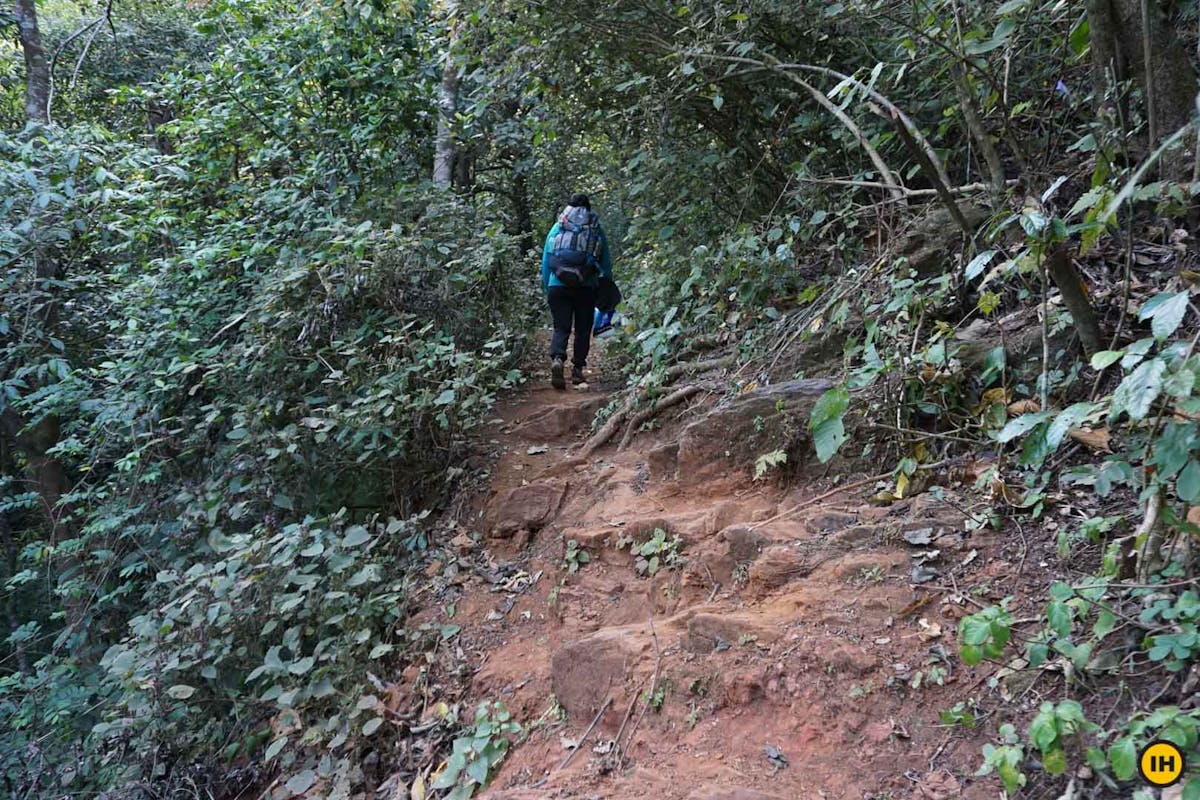 Mud trail, Ballalarayana Durga - Bandaje Arbi trek, western ghats trek, treks in Karnataka, Indiahikes