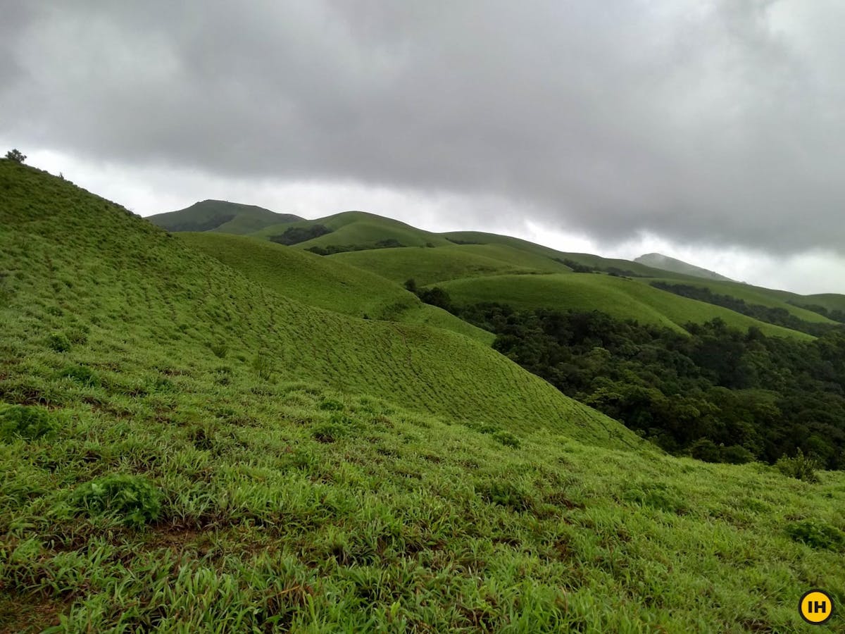 Shola grasslands in monsoon, Ballalarayana Durga - Bandaje Arbi trek, western ghats trek, treks in Karnataka, Indiahikes