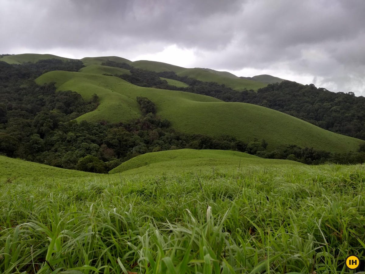 Lush green meadows, Ballalarayana Durga - Bandaje Arbi trek, western ghats trek, treks in Karnataka, Indiahikes