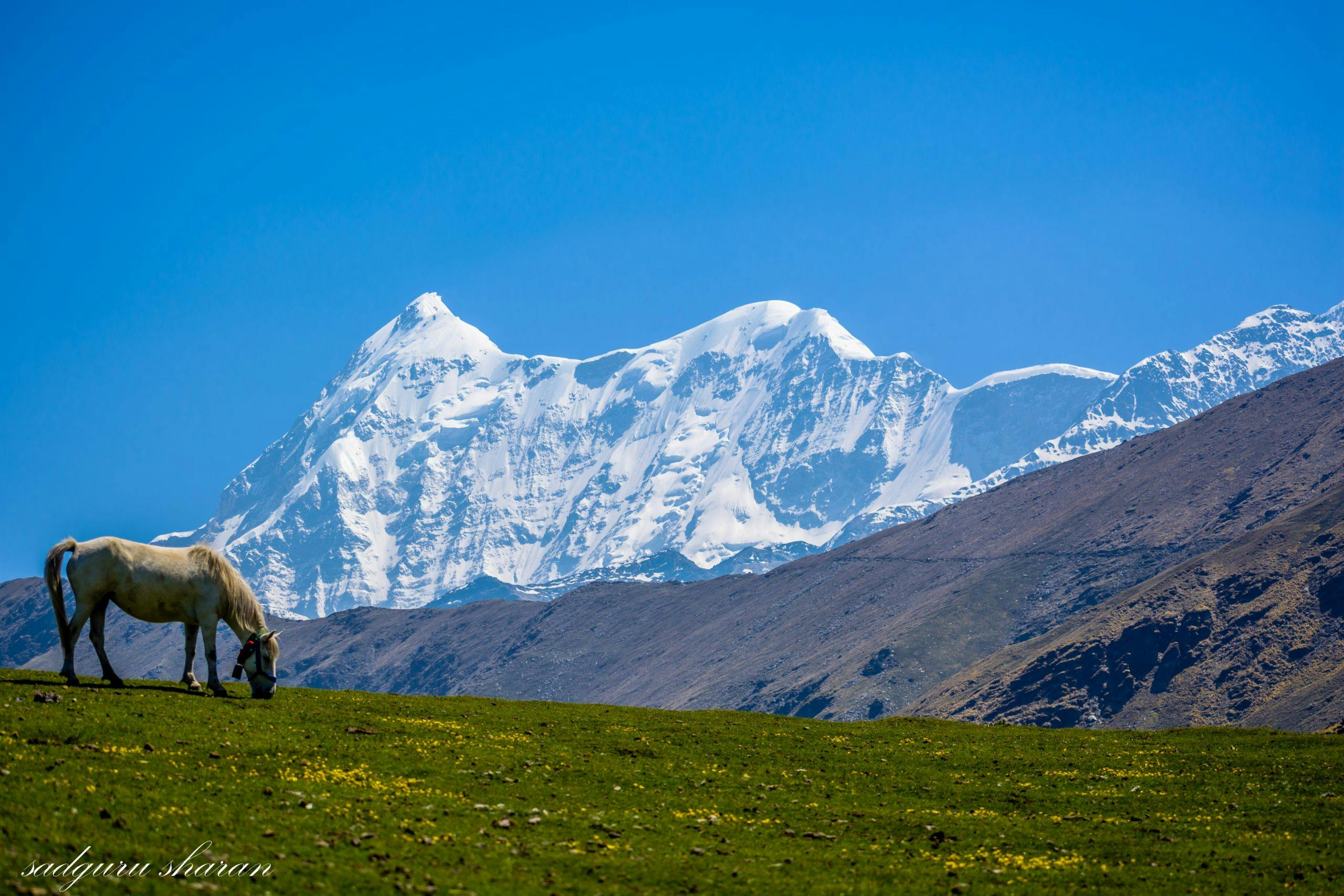 Atsunta Pass 2023 - Trek In The Picturesque Meadows Of Georgia