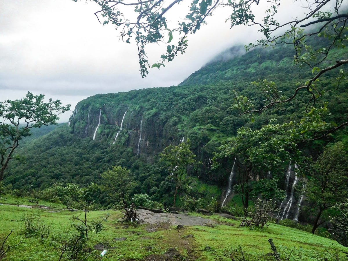 Bhimashankar trek, treks near Mumbai, treks near Pune, Sahyadri treks, Karjat region, treks from Karjat, Indiahikes