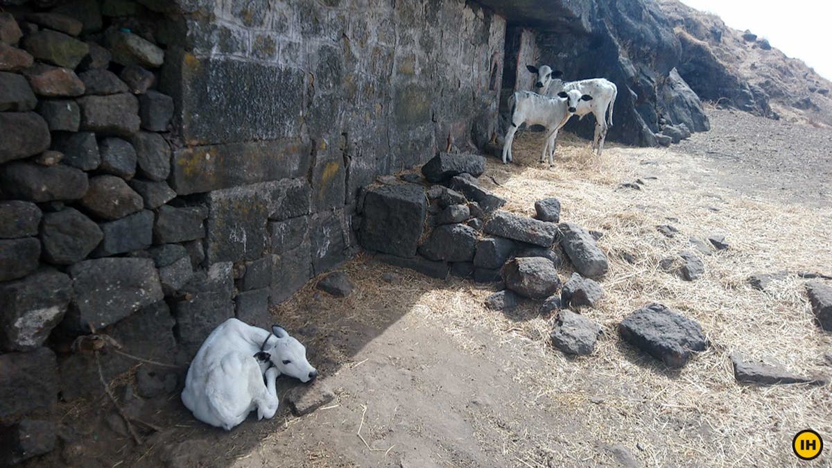 Salher-Fort-Indiahikes