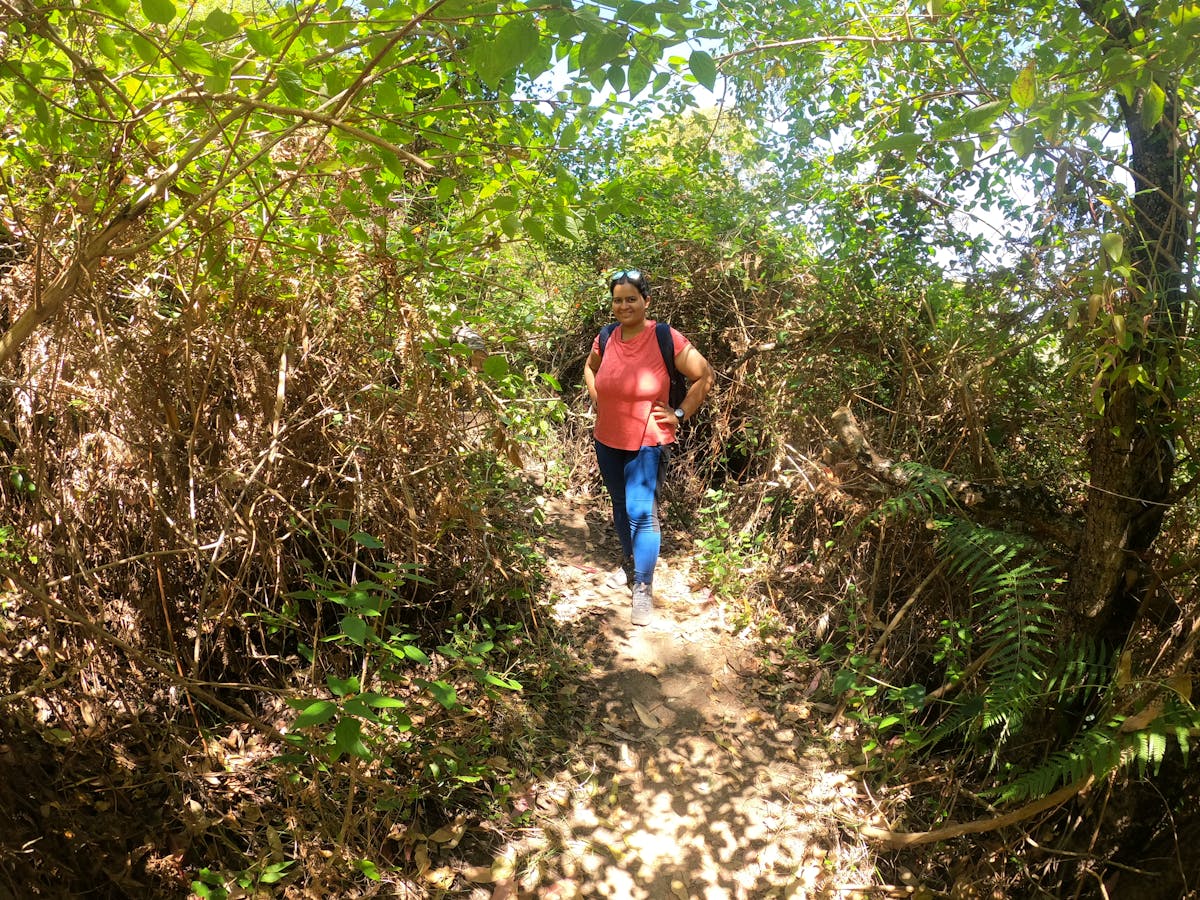 Forest section entry - Thoothur Waterfalls Trek - Indiahikes - Madhuri Ruperee